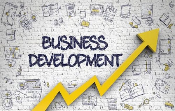 Bsuiness Development Course